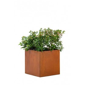 Photo de la Jardinière Hudson en acier 60x60x60cm