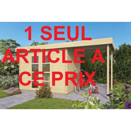 Affaire du jour, abri de jardin en solde à prix bradé