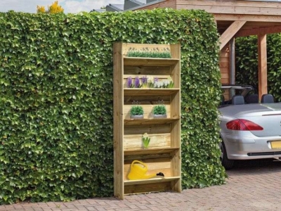 Quelle plante pour palissade ?