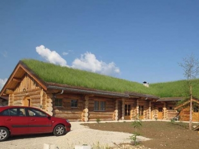 Les toits verts (ou végétalisés)