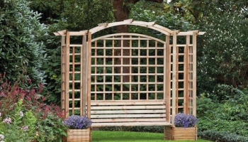 Comment bien choisir ses plantes pour sa pergola?
