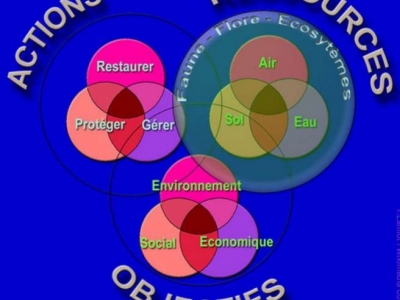 Durabilité environnementale