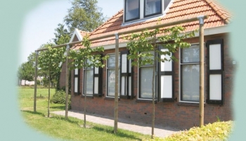 Comment choisir sa pergola?