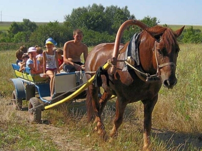 Roulotte événementielle à Dijon